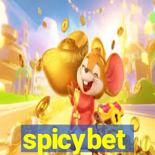 spicybet-3.com